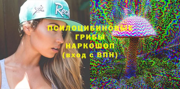 твердый Алексин