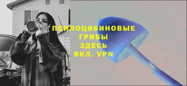тгк Алзамай