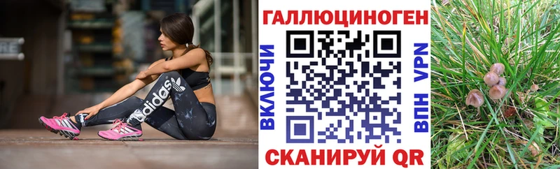 Псилоцибиновые грибы мухоморы  Купить закладки  Инсар 